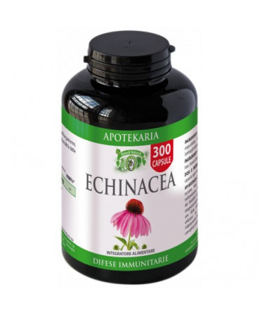 Echinacea 300 capsule