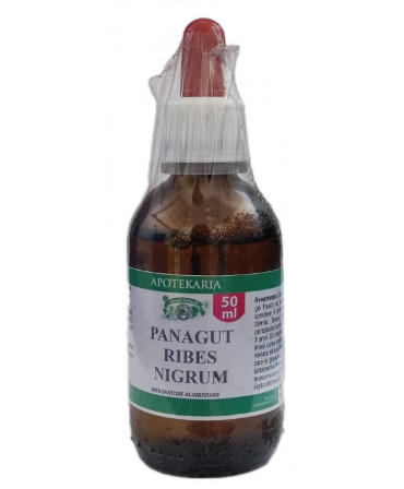 Panagut Ribes Nigrum 50 ml